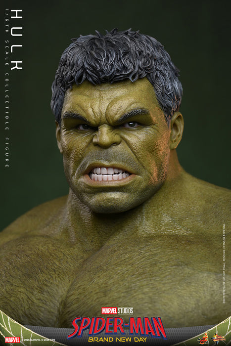 [PREORDER] Hulk MMS905 | Sixth Scale Figure | Hot Toys
