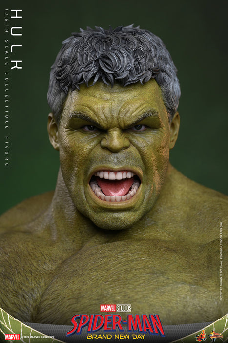 [PREORDER] Hulk MMS905 | Sixth Scale Figure | Hot Toys