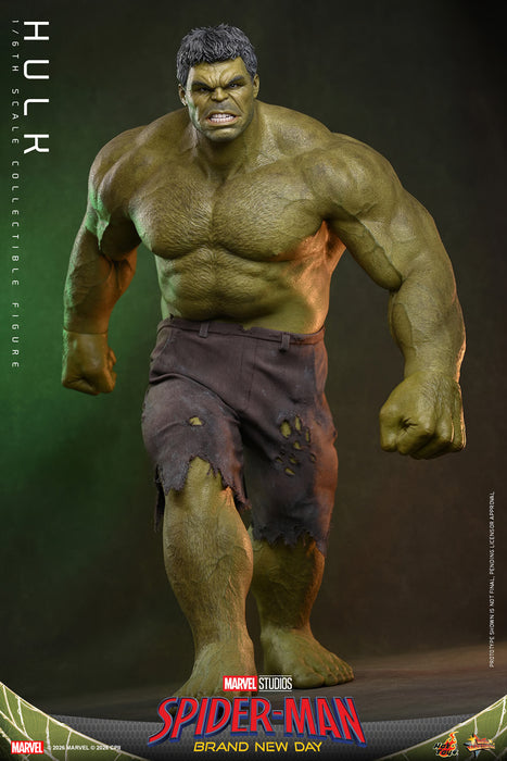 [PREORDER] Hulk MMS905 | Sixth Scale Figure | Hot Toys