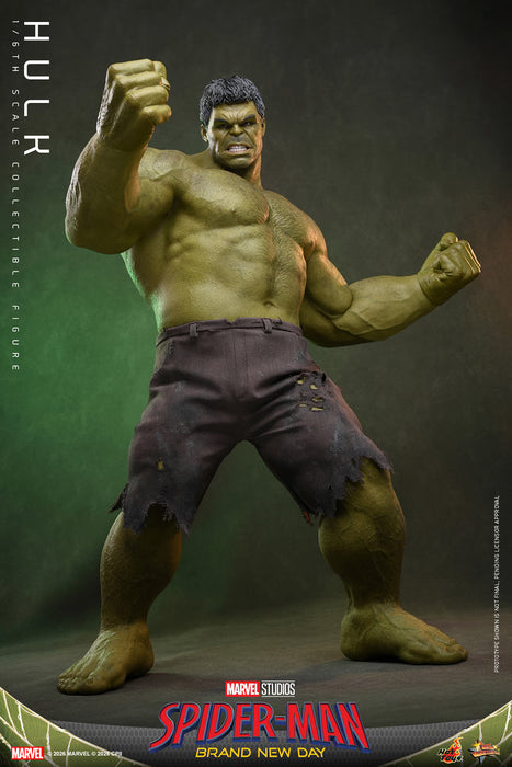 [PREORDER] Hulk MMS905 | Sixth Scale Figure | Hot Toys