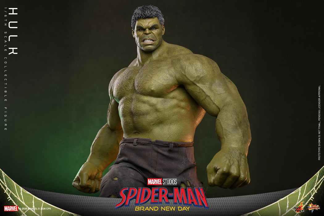 [PREORDER] Hulk MMS905 | Sixth Scale Figure | Hot Toys