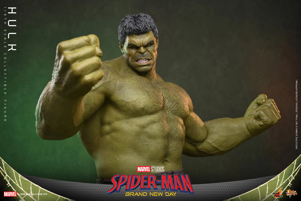 [PREORDER] Hulk MMS905 | Sixth Scale Figure | Hot Toys
