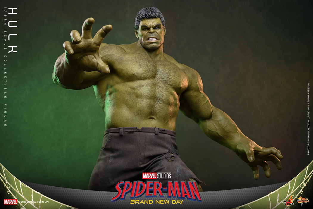 [PREORDER] Hulk MMS905 | Sixth Scale Figure | Hot Toys