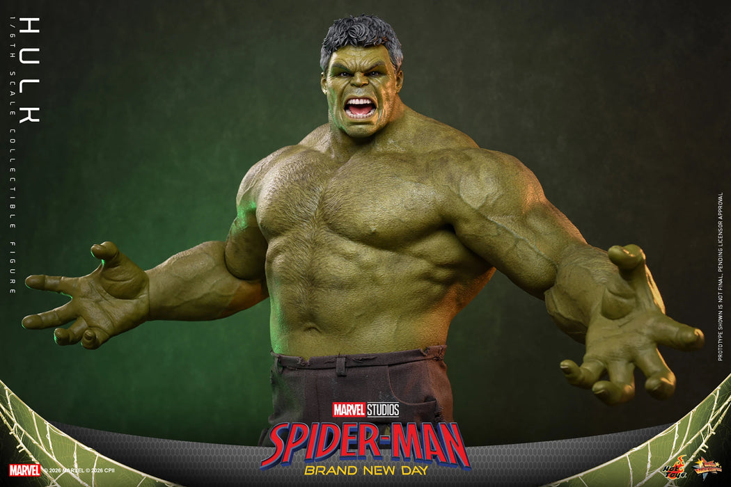 [PREORDER] Hulk MMS905 | Sixth Scale Figure | Hot Toys