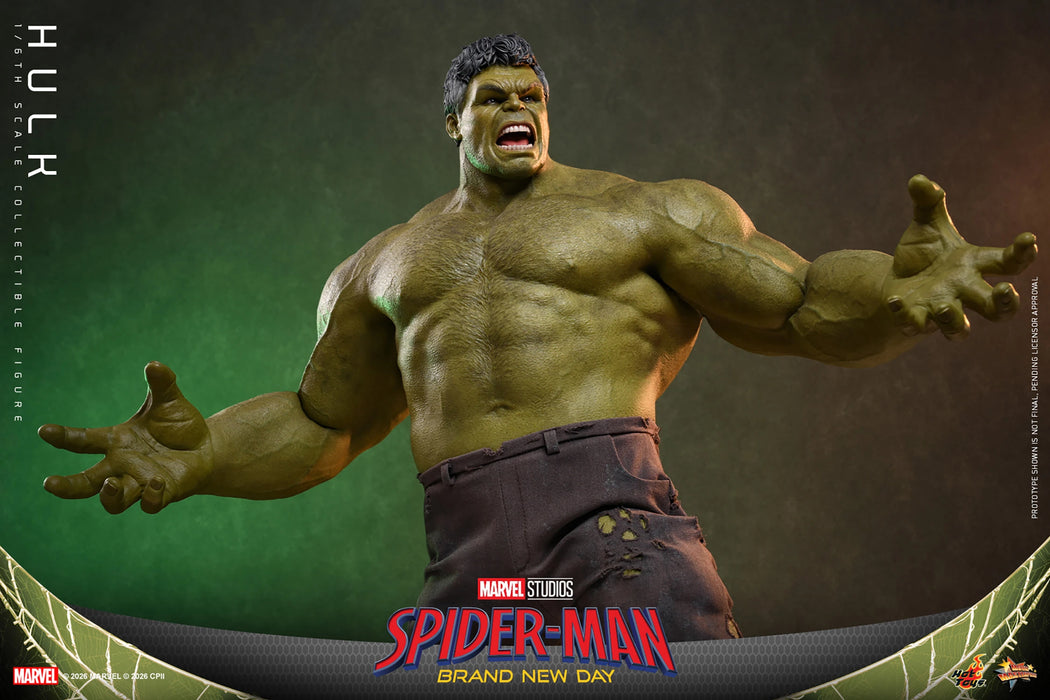 [PREORDER] Hulk MMS905 | Sixth Scale Figure | Hot Toys