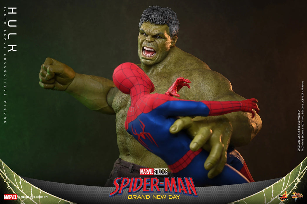 [PREORDER] Hulk MMS905 | Sixth Scale Figure | Hot Toys