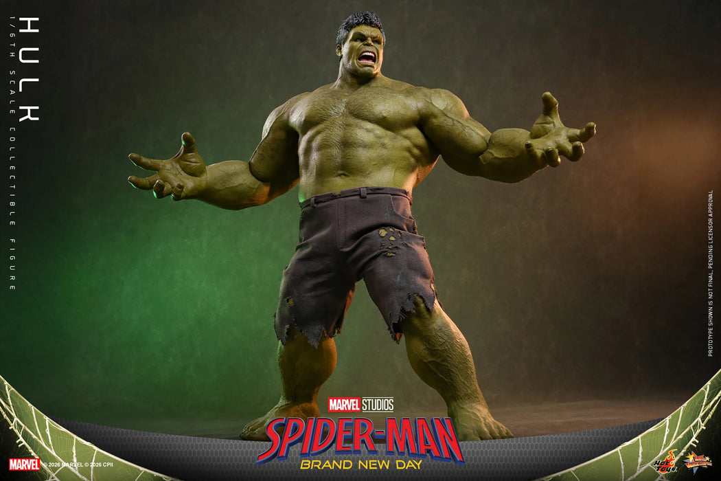 [PREORDER] Hulk MMS905 | Sixth Scale Figure | Hot Toys