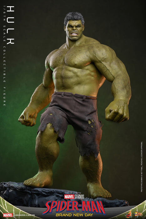 [PREORDER] Hulk MMS905 | Sixth Scale Figure | Hot Toys
