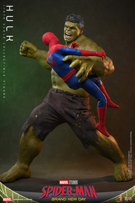 [PREORDER] Hulk MMS905 | Sixth Scale Figure | Hot Toys