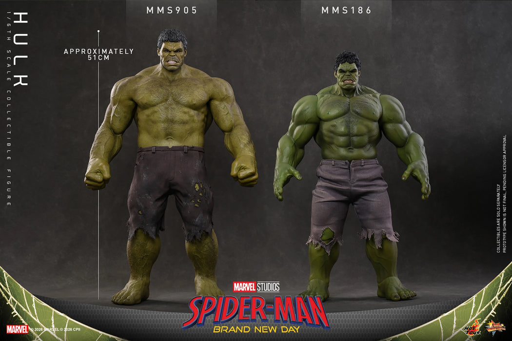 [PREORDER] Hulk MMS905 | Sixth Scale Figure | Hot Toys