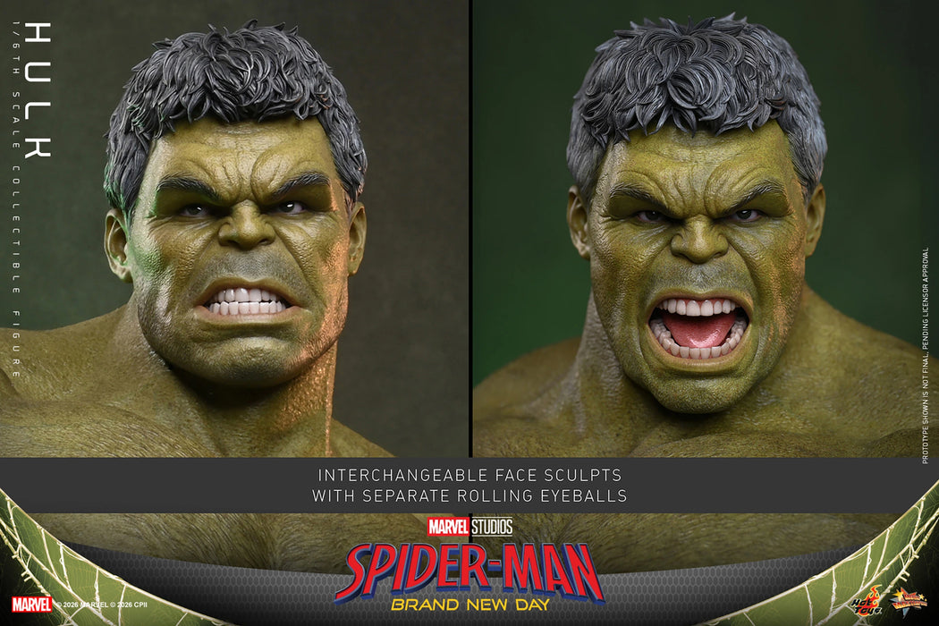 [PREORDER] Hulk MMS905 | Sixth Scale Figure | Hot Toys