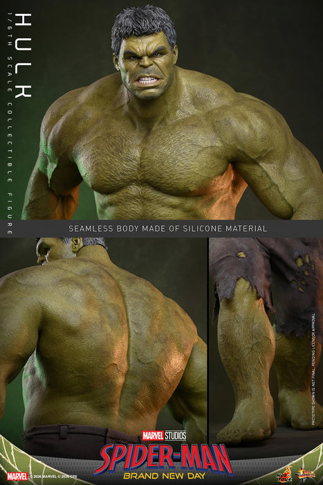 [PREORDER] Hulk MMS905 | Sixth Scale Figure | Hot Toys