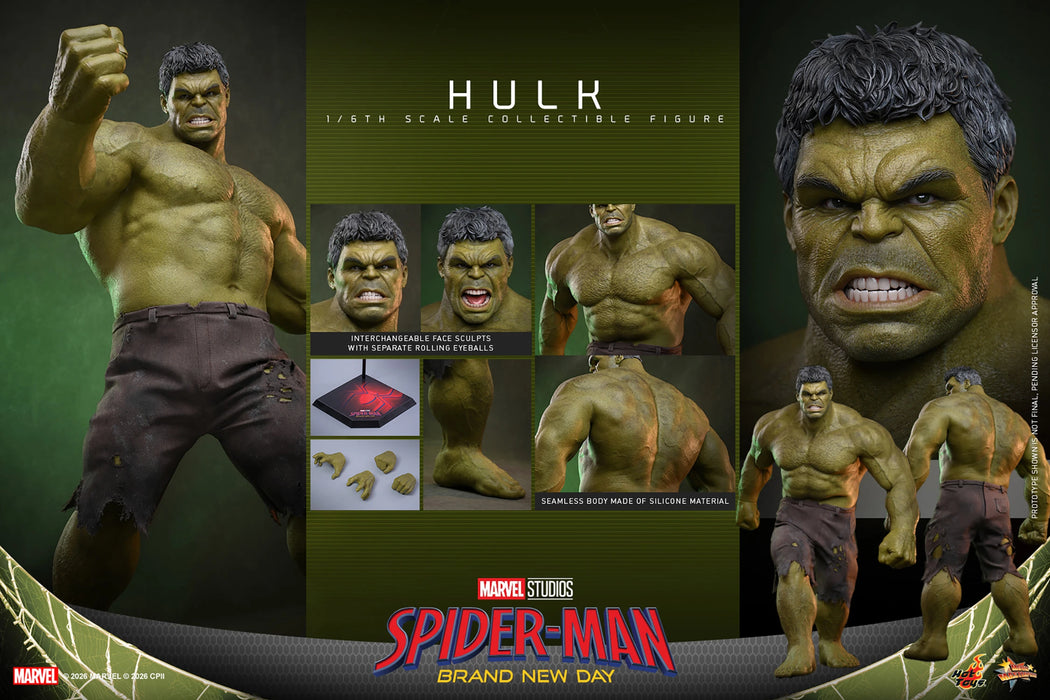 [PREORDER] Hulk MMS905 | Sixth Scale Figure | Hot Toys