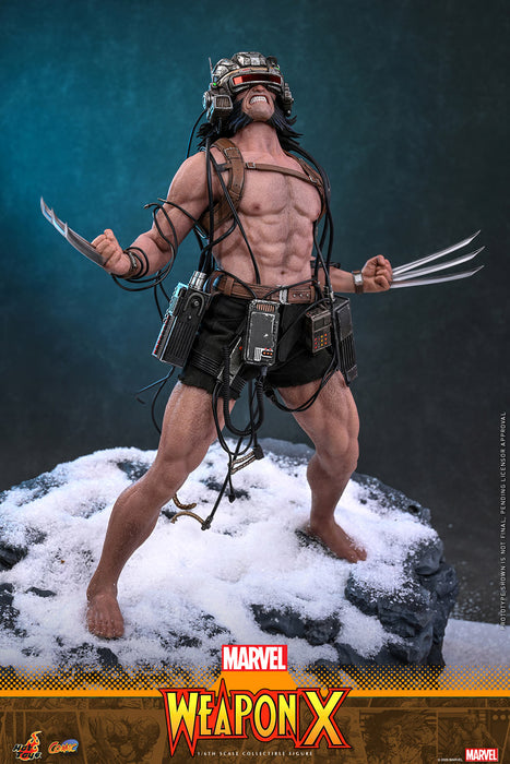 [PREORDER] Weapon X CMS034 | Sixth Scale Figure | Hot Toys