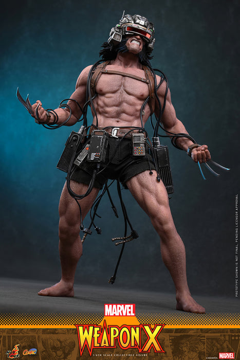 [PREORDER] Weapon X CMS034 | Sixth Scale Figure | Hot Toys