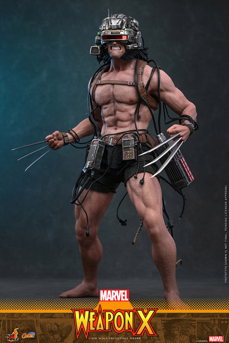 [PREORDER] Weapon X CMS034 | Sixth Scale Figure | Hot Toys