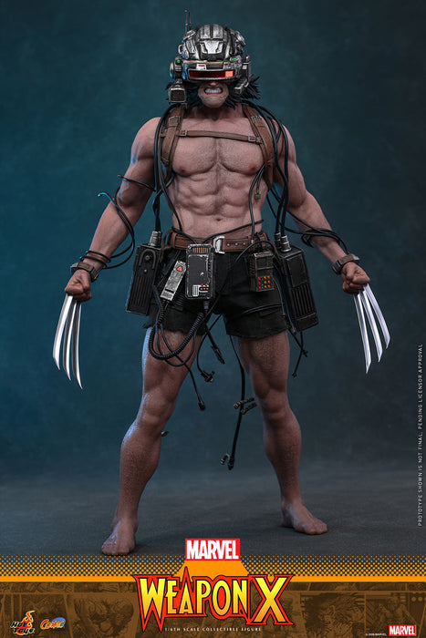 [PREORDER] Weapon X CMS034 | Sixth Scale Figure | Hot Toys