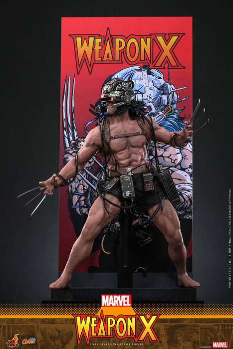 [PREORDER] Weapon X CMS034 | Sixth Scale Figure | Hot Toys