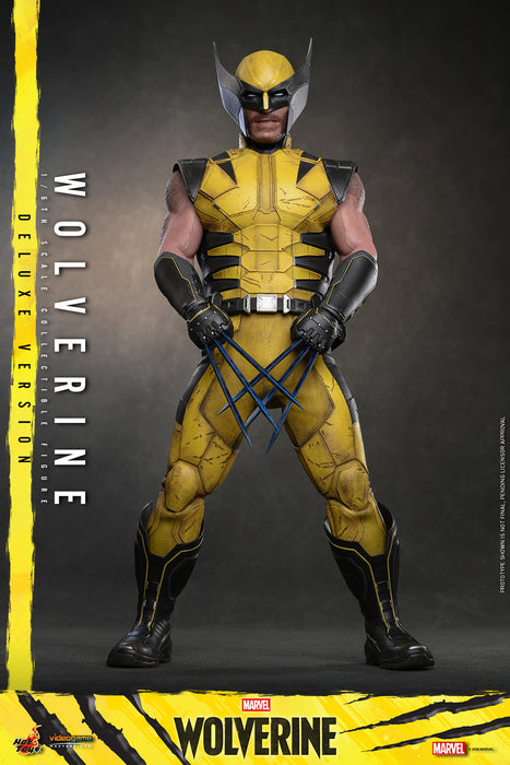 [PREORDER] Wolverine VGM92 | Sixth Scale Figure | Deluxe Version