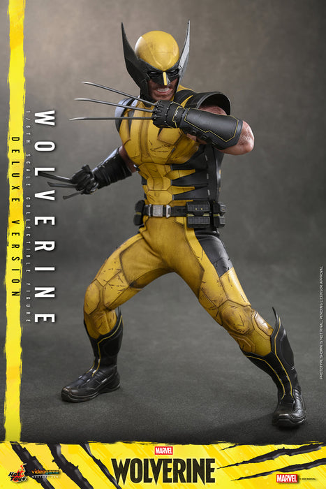 [PREORDER] Wolverine VGM92 | Sixth Scale Figure | Deluxe Version