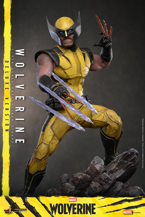 [PREORDER] Wolverine VGM92 | Sixth Scale Figure | Deluxe Version