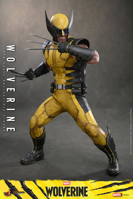 [PREORDER] Wolverine VGM91 | Sixth Scale Figure | Collector Version