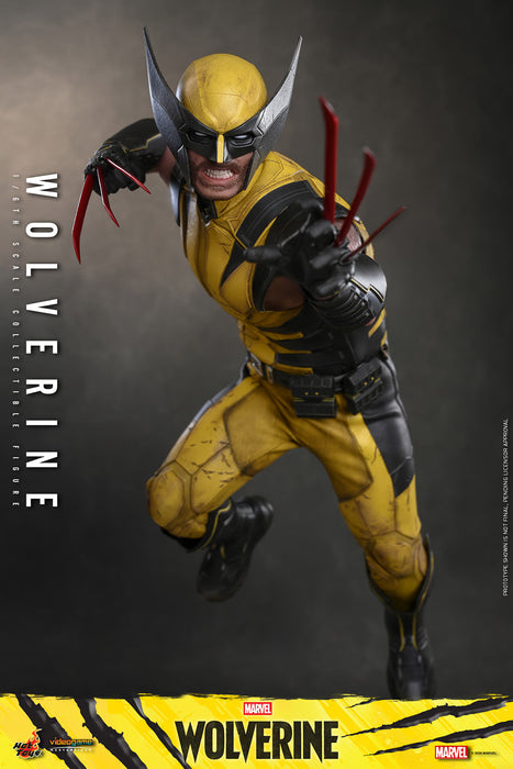 [PREORDER] Wolverine VGM91 | Sixth Scale Figure | Collector Version