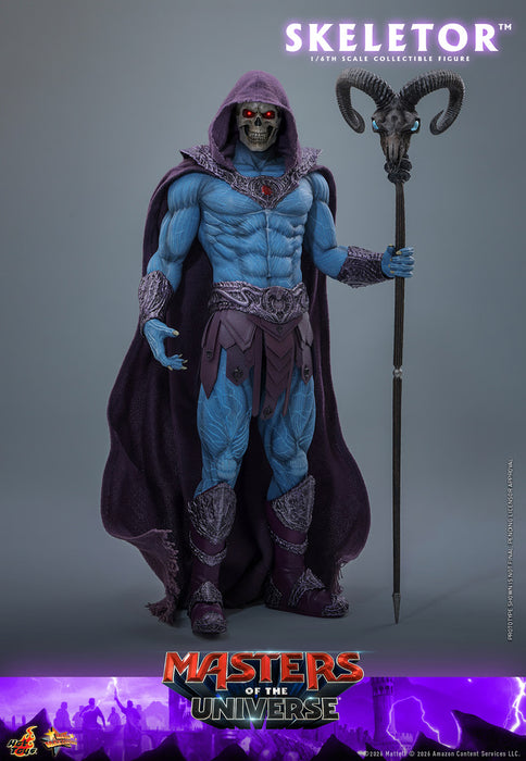 [PREORDER] Skeletor MMS889 | Sixth Scale Figure | Hot Toys