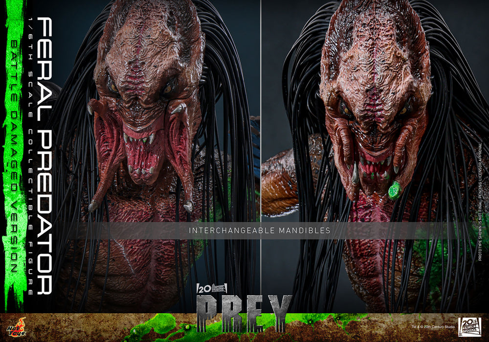 [PREORDER] Feral Predator (Battle Damaged Version) | Sixth Scale Action Figure | Hot Toys