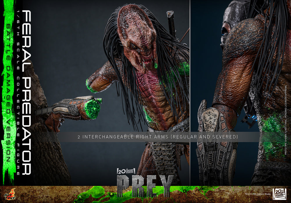 [PREORDER] Feral Predator (Battle Damaged Version) | Sixth Scale Action Figure | Hot Toys