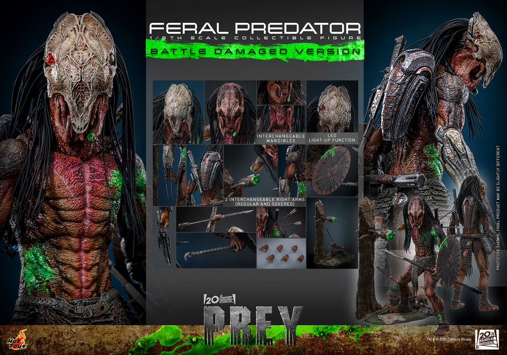 [PREORDER] Feral Predator (Battle Damaged Version) | Sixth Scale Action Figure | Hot Toys