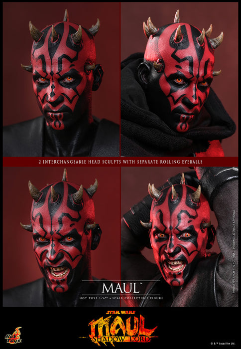 [PREORDER] Maul TMS187 | Sixth Scale Figure | Hot Toys