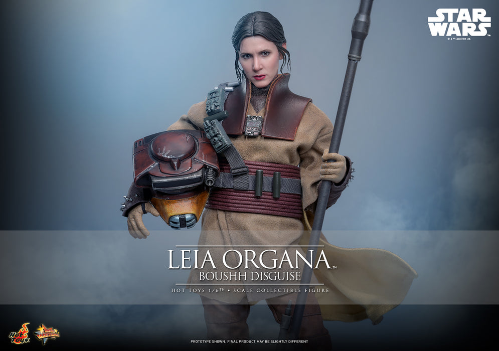 [PREORDER] Leia Organa (Boushh Disguise)™ | Sixth Scale Action Figure | Hot Toys