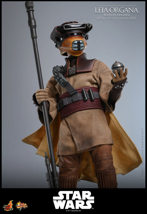 [PREORDER] Leia Organa (Boushh Disguise)™ | Sixth Scale Action Figure | Hot Toys