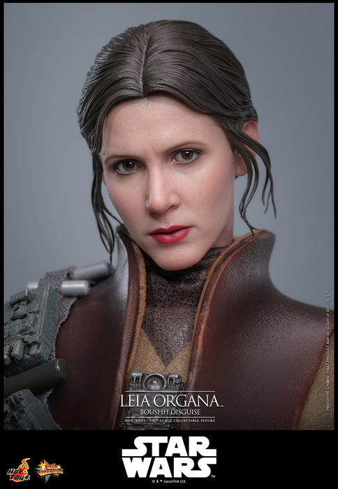 [PREORDER] Leia Organa (Boushh Disguise)™ | Sixth Scale Action Figure | Hot Toys