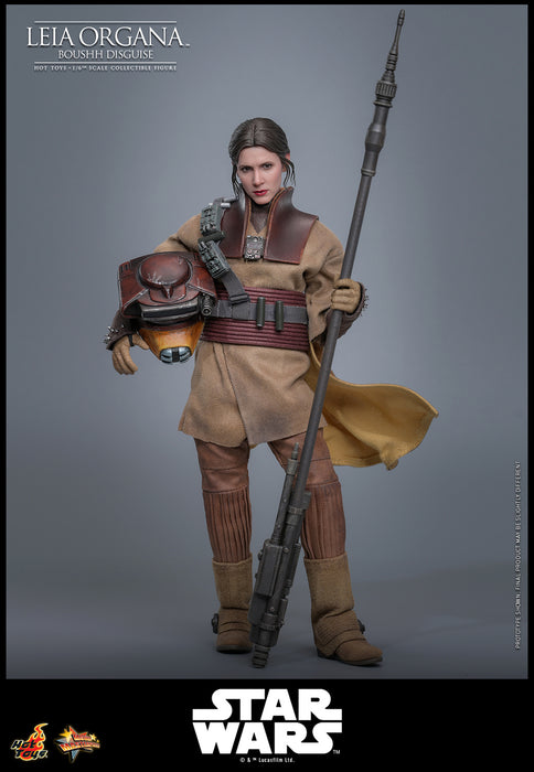 [PREORDER] Leia Organa (Boushh Disguise)™ | Sixth Scale Action Figure | Hot Toys