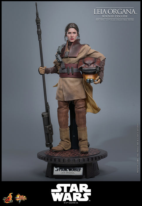 [PREORDER] Leia Organa (Boushh Disguise)™ | Sixth Scale Action Figure | Hot Toys