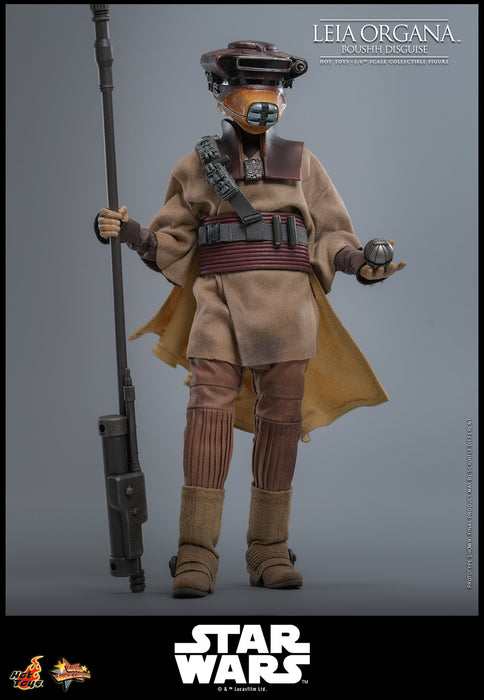 [PREORDER] Leia Organa (Boushh Disguise)™ | Sixth Scale Action Figure | Hot Toys