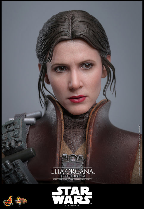 [PREORDER] Leia Organa (Boushh Disguise)™ | Sixth Scale Action Figure | Hot Toys