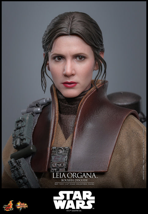 [PREORDER] Leia Organa (Boushh Disguise)™ | Sixth Scale Action Figure | Hot Toys