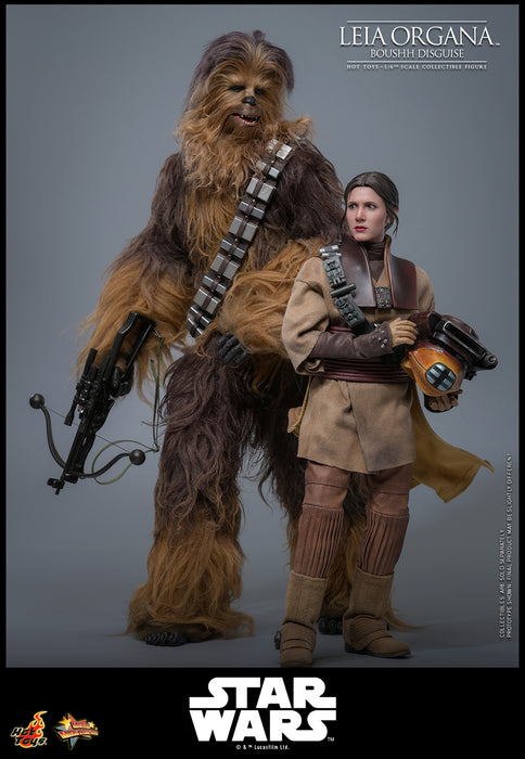 [PREORDER] Leia Organa (Boushh Disguise)™ | Sixth Scale Action Figure | Hot Toys