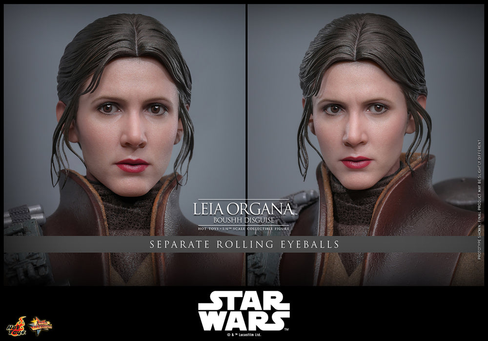[PREORDER] Leia Organa (Boushh Disguise)™ | Sixth Scale Action Figure | Hot Toys