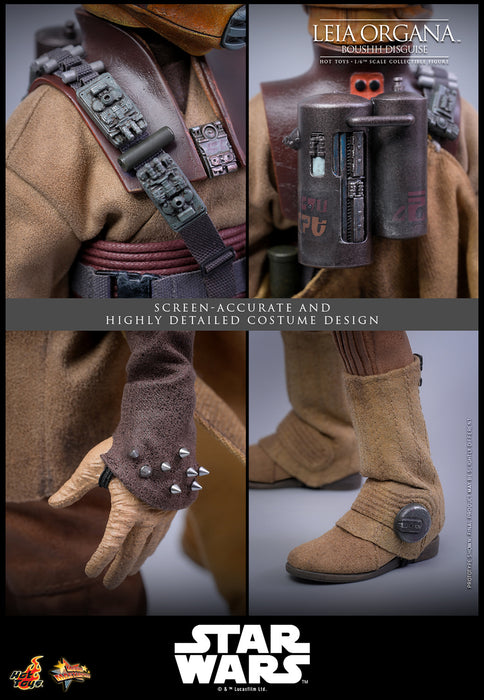 [PREORDER] Leia Organa (Boushh Disguise)™ | Sixth Scale Action Figure | Hot Toys