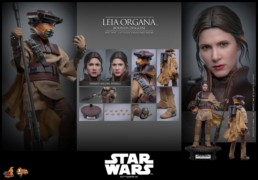 [PREORDER] Leia Organa (Boushh Disguise)™ | Sixth Scale Action Figure | Hot Toys