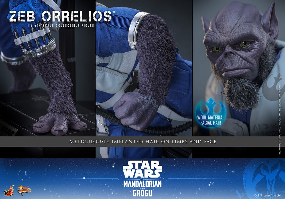 [PREORDER] Zeb Orrelios MMS876 | Sixth Scale Figure | Hot Toys