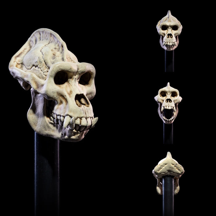 Mythic Legions Sir Enoch | All-Stars 6 | Four Horsemen