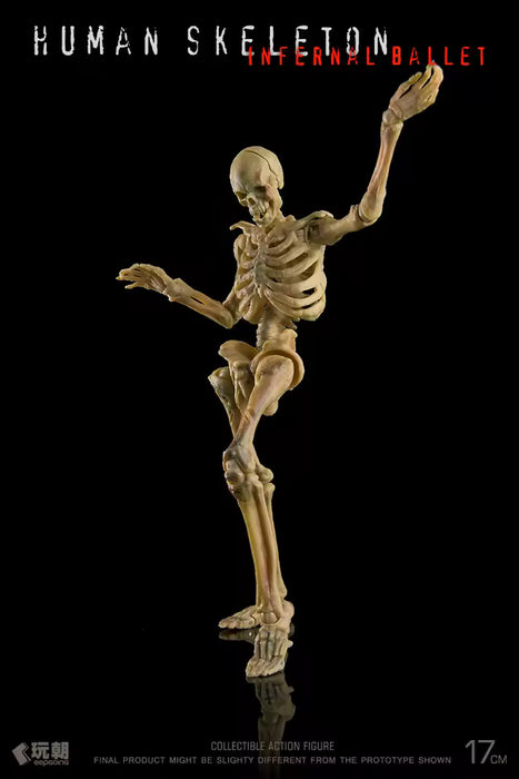 Keep Going 1/12 Scale Biology Classroom Human Skeleton | Action Figure