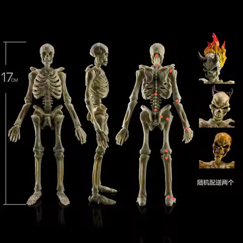 Keep Going 1/12 Scale Biology Classroom Human Skeleton | Action Figure