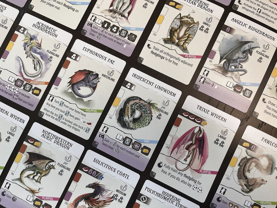 Dragon Academy Expansion | Wyrmspan | Boardgame