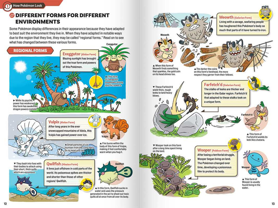 Pokecology An Illustrated Guide to Pokemon Ecology | Art Book